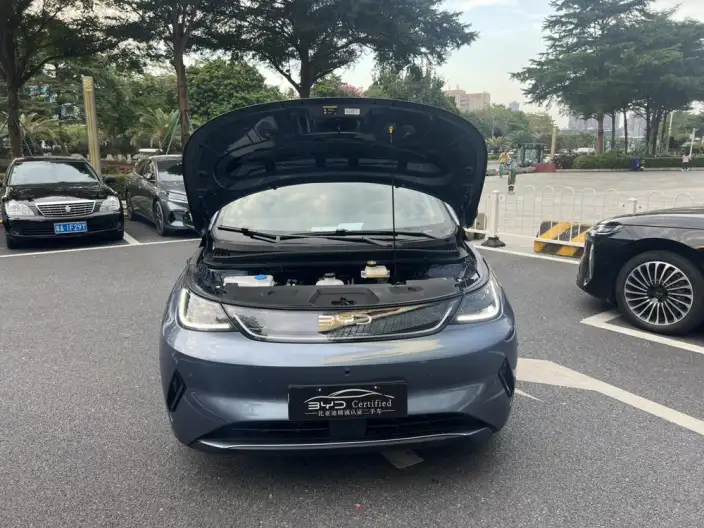 BYD Dolphin 2025 Model Smart Driving Edition 520KM Knight Edition – фото 8