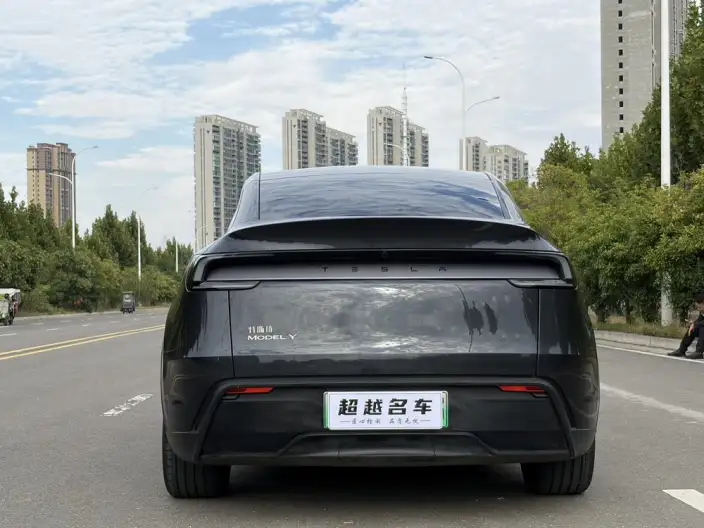 Model Y 2025 Model Rear-wheel drive version – фото 5