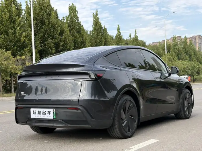 Model Y 2025 Model Rear-wheel drive version – фото 6