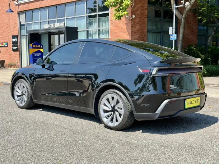 Model Y 2025 Model Long Battery Life Pro All-wheel drive version – фото 5