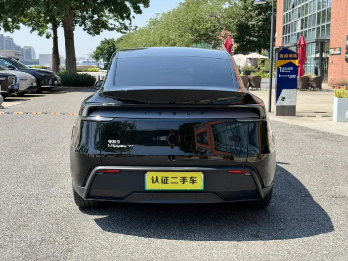 Model Y 2025 Model Long Battery Life Pro All-wheel drive version – фото 6