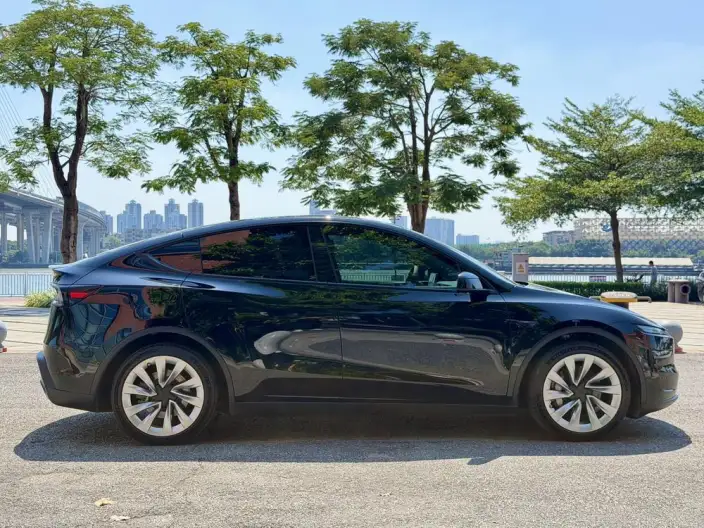 Model Y 2025 Model Long Battery Life Pro All-wheel drive version – фото 8