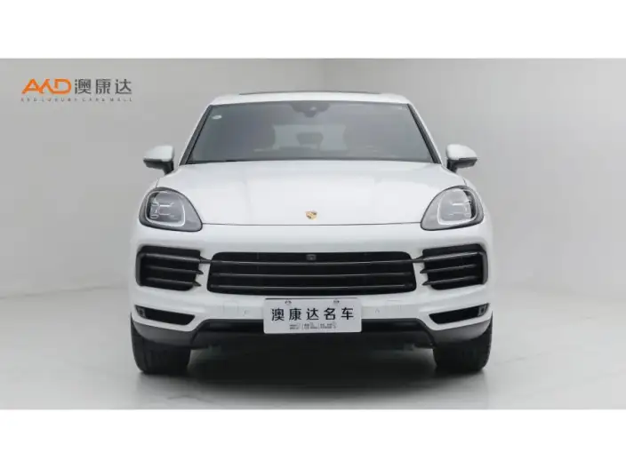 Cayenne 2023 Model Cayenne 3.0T Platinum edition – фото 2