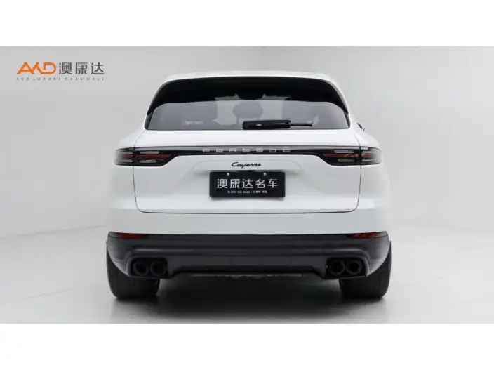 Cayenne 2023 Model Cayenne 3.0T Platinum edition – фото 3