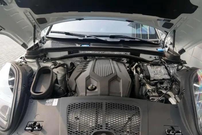 Macan 2025 Model Macan 2.0T Dream Edition – фото 8