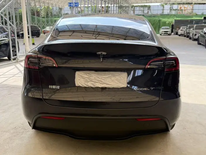Model Y 2024 Model Long Battery Life Pro All-wheel drive version – фото 6