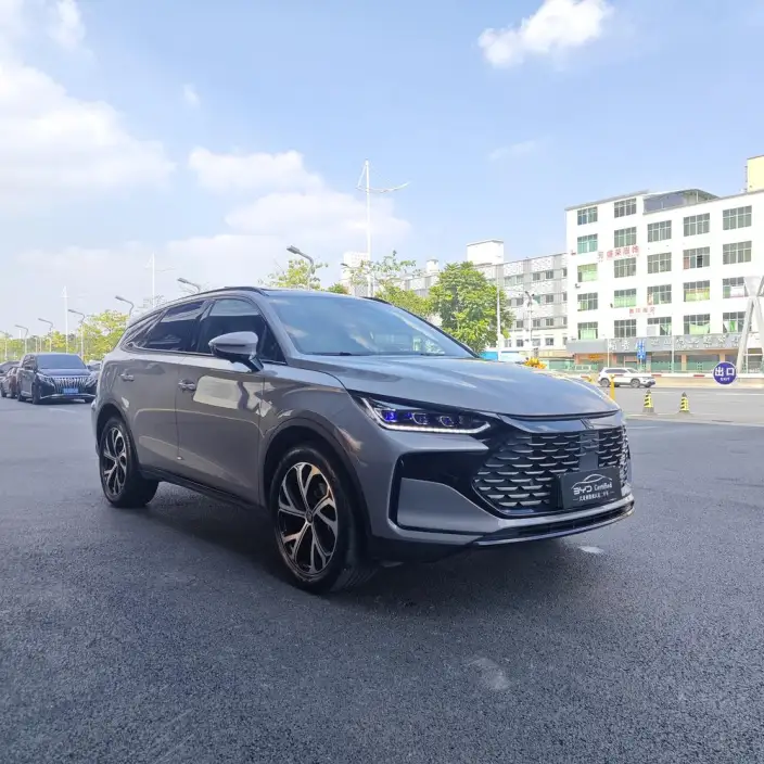 BYD Tang DM 2025 Model DM-i 115KM Zunrong Model