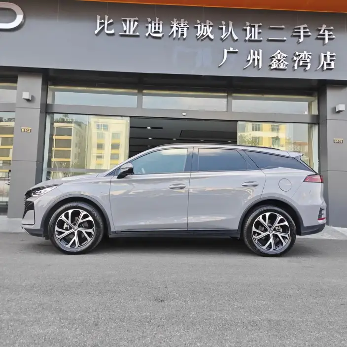 BYD Tang DM 2025 Model DM-i 115KM Zunrong Model