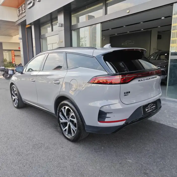 BYD Tang DM 2025 Model DM-i 115KM Zunrong Model – фото 5