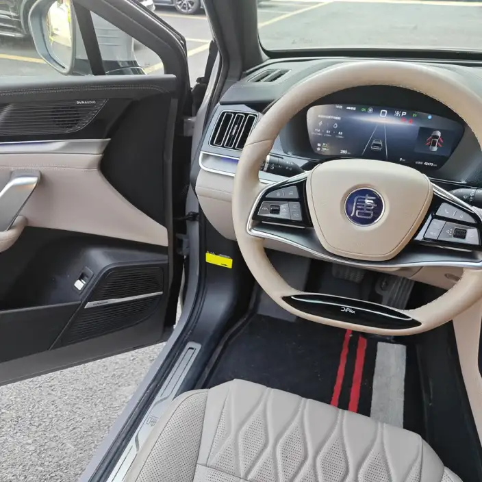 BYD Tang DM 2025 Model DM-i 115KM Zunrong Model – фото 10