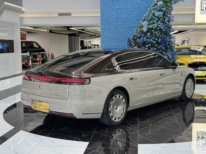 Zunjie S800 2025 Model Extended Range Starlight Executive Edition 4 seat – фото 6