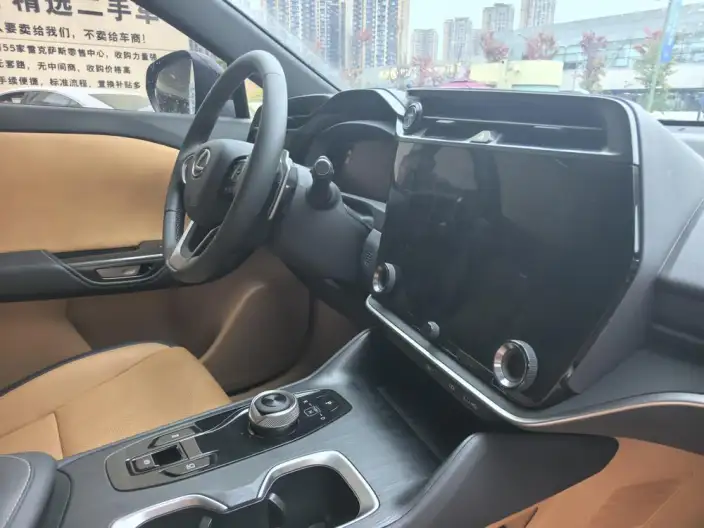 Lexus RZ 2024 Model 300e Long Battery Life Pro Indulgent Edition – фото 7