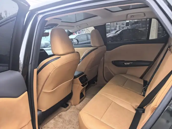 Lexus RZ 2024 Model 300e Long Battery Life Pro Indulgent Edition – фото 9