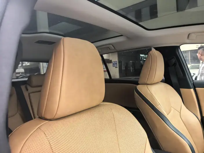 Lexus RZ 2024 Model 300e Long Battery Life Pro Indulgent Edition – фото 10