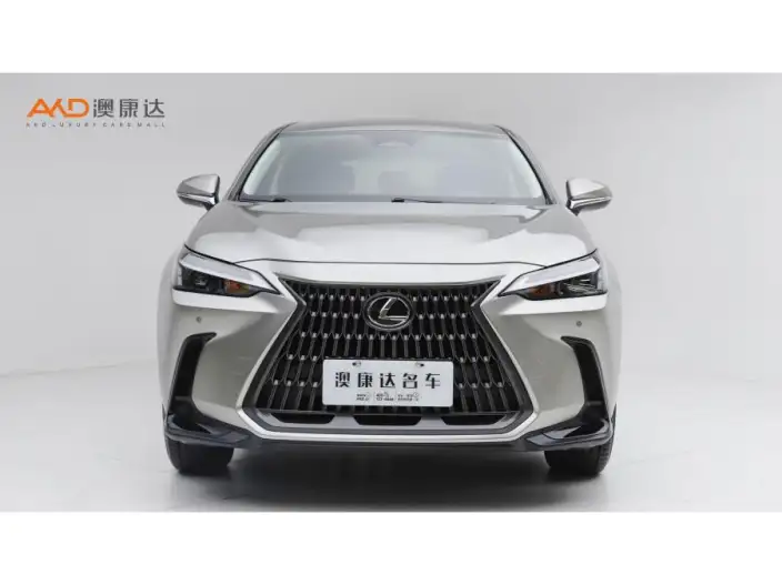 Lexus NX 2022 Model 260 Qian Drive Innovation Drive Edition