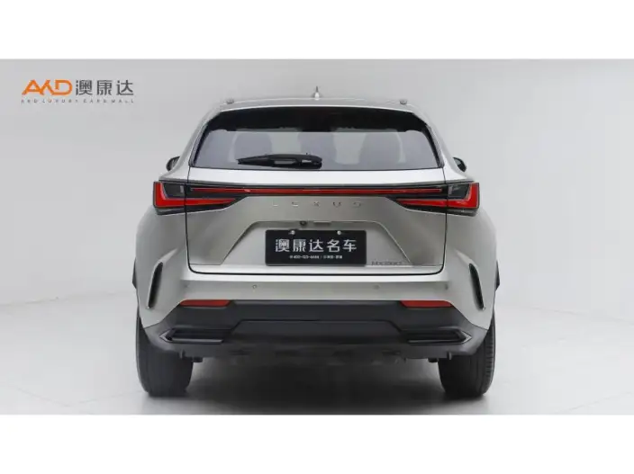 Lexus NX 2022 Model 260 Qian Drive Innovation Drive Edition