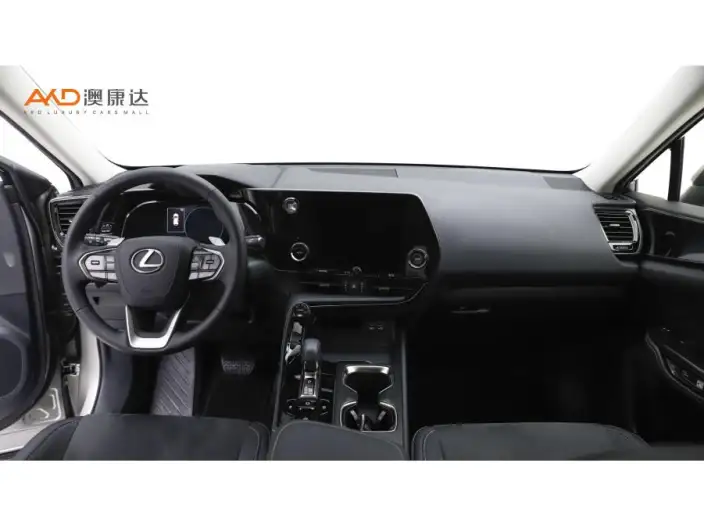 Lexus NX 2022 Model 260 Qian Drive Innovation Drive Edition – фото 5