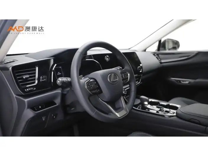 Lexus NX 2022 Model 260 Qian Drive Innovation Drive Edition – фото 7