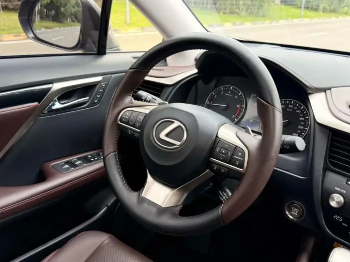 Lexus RX 2020 Model Facelift 300 2WD Comfort Edition – фото 10