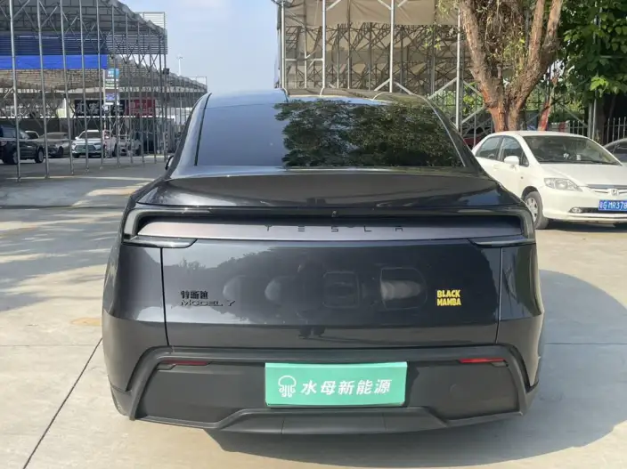 Model Y 2025 Model Rear-wheel drive version – фото 6