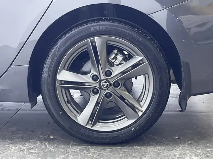 Ruicheng Plus 2023 Model 1.5T DCT Noble Model – фото 9
