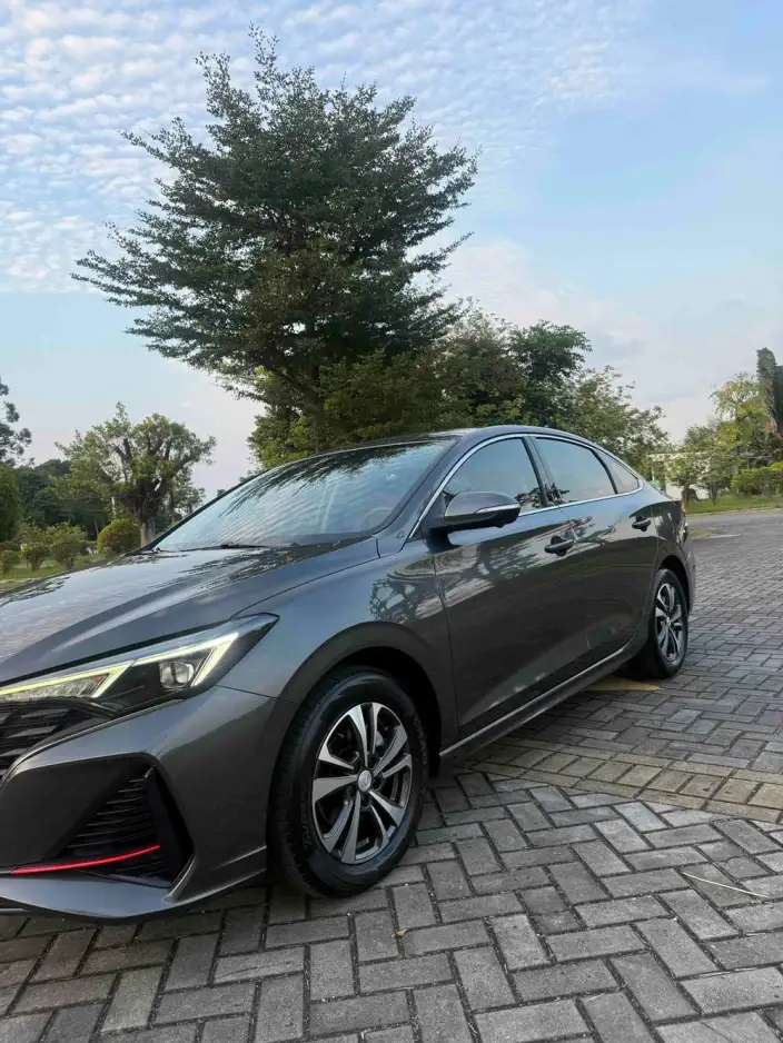 Changan Eado 2021 Model PLUS Blue whale NE 1.4T GDI DCT Noble Model – фото 10