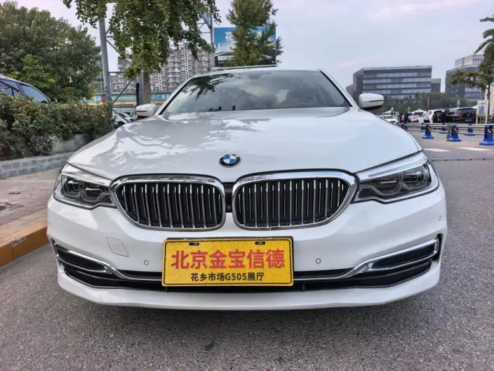 BMW 5 Series 2020 Model 530Li Exclusive Model Luxury Set