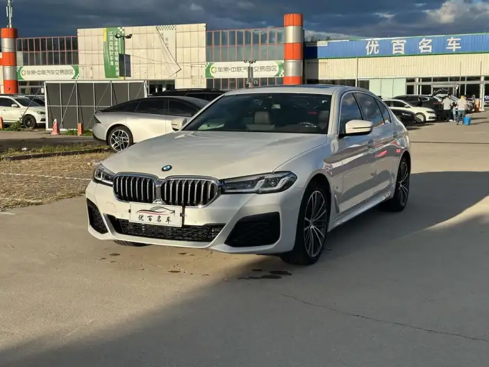 BMW 5 Series 2021 Model 530Li Leading Model M Sports Set
