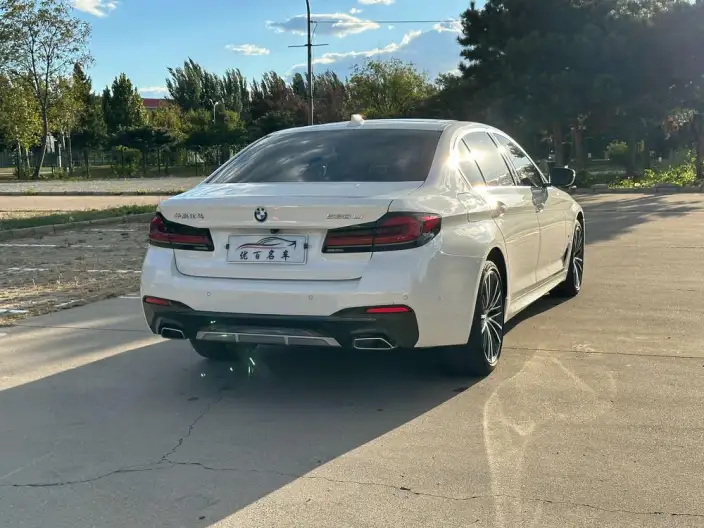 BMW 5 Series 2021 Model 530Li Leading Model M Sports Set – фото 7