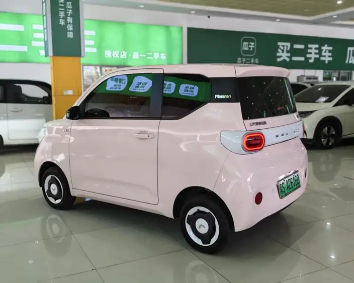Wuling Hongguang MINIEV 2024 Model 215km Youth Edition Lithium Iron Phosphate