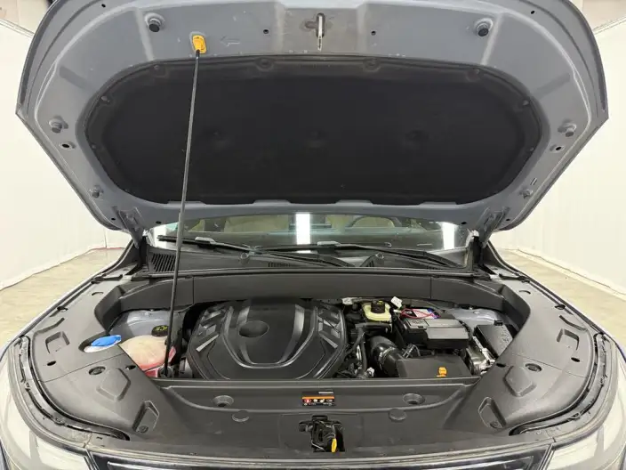 Geely Boyue L 2023 Model 2.0TD DCT Noble Model – фото 10