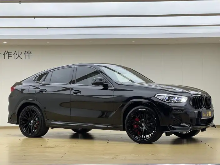 BMW X6 2021 Model xDrive40i M Sports Set – фото 6