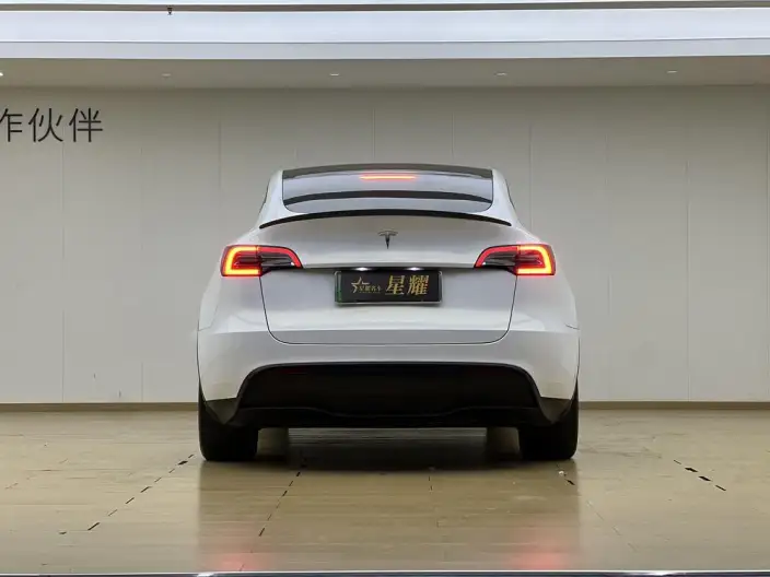 Model Y 2022 Model Rear-wheel drive version