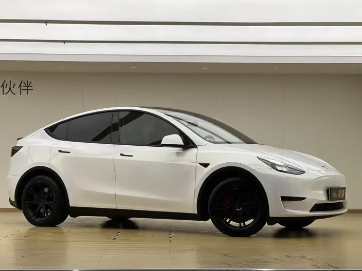 Model Y 2022 Model Rear-wheel drive version – фото 6