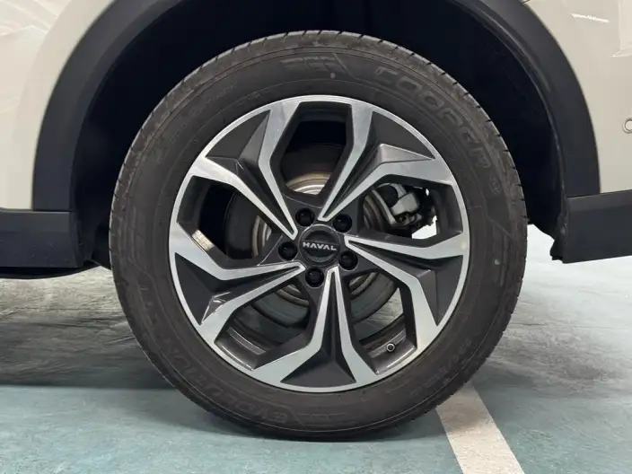 Haval Xiaolong MAX 2025 Model 1.5L Hi4 165 Ultra Smart Driving Edition – фото 9