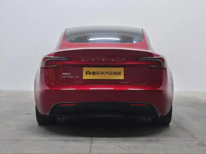 Model 3 2023 Model Long Battery Life Pro All-wheel drive version – фото 6