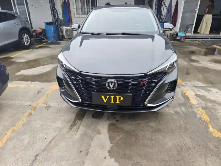 Changan Eado 2021 Model PLUS Blue whale NE 1.4T GDI DCT Noble Model – фото 2