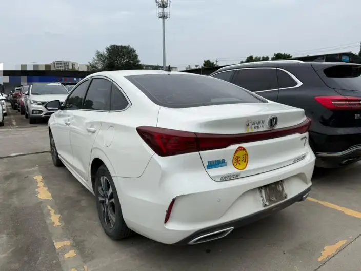 Changan Eado 2023 Model PLUS Changxiang Edition Blue whale NE 1.4T GDI DCT Noble Model