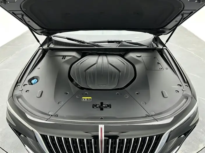 HONGQI H9 2020 Model 2.0T Smart Flag Enjoy Edition – фото 10