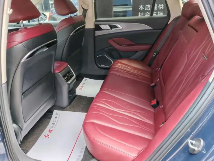 Hongqi H5 2024 Model 2.0T Automatic Flag Lead Edition – фото 8