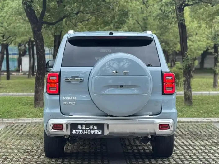Beijing Off-Road BJ60 2022 Model 2.0T Automatic Weekend Edition five seats – фото 6