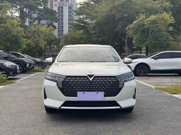 Venucia D60 2021 Model PLUS 1.6L XL CVT Yue Ling Edition – фото 2