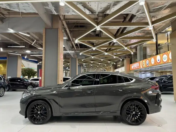 BMW X6 2022 Model xDrive40i Exclusive Model M Sports Set – фото 3