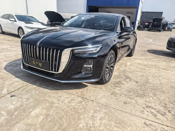 Hongqi H5 2023 Model 2.0T Automatic Flag Enjoy Edition – фото 1