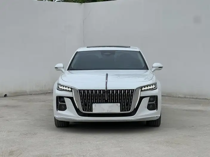 Hongqi H5 2023 Model 2.0T Automatic Flag Enjoy Edition – фото 2