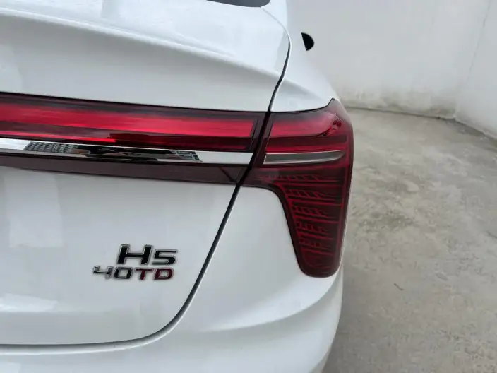 Hongqi H5 2023 Model 2.0T Automatic Flag Enjoy Edition – фото 8