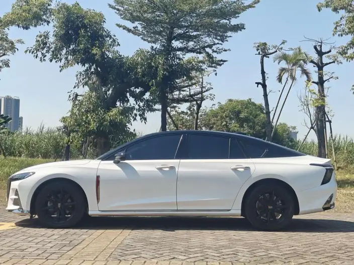 HONGQI H6 2024 Model 2.0T Zhishang Edition – фото 4