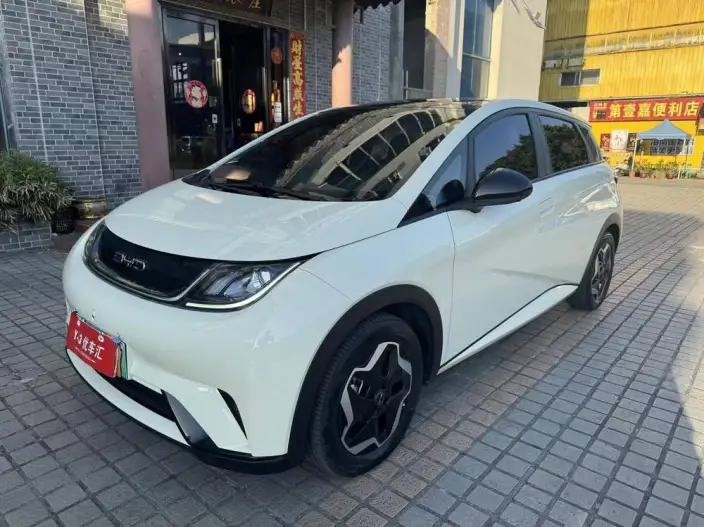 BYD Dolphin 2021 Model Fashion Edition