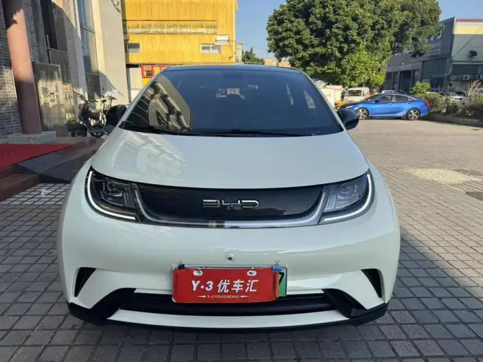 BYD Dolphin 2021 Model Fashion Edition