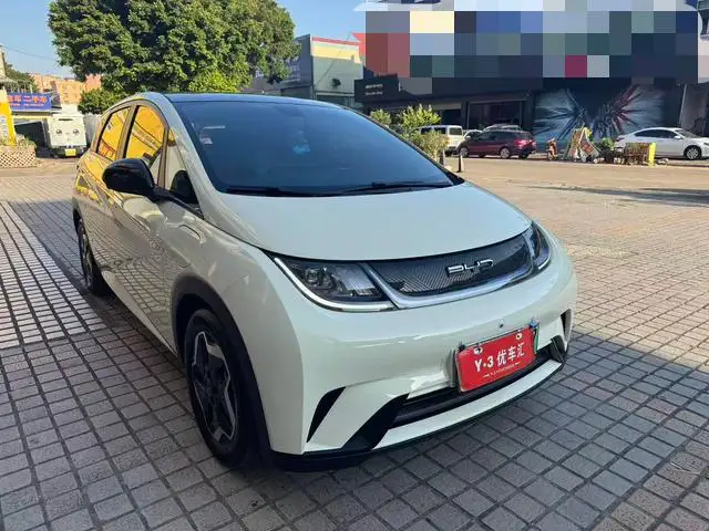 BYD Dolphin 2021 Model Fashion Edition